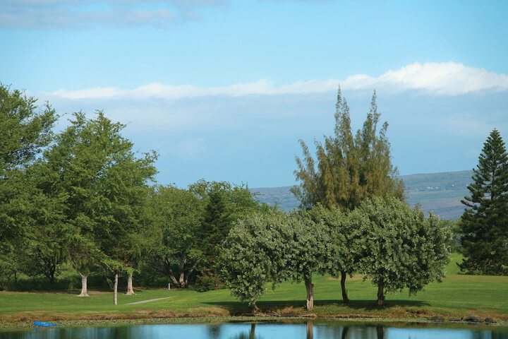 Paniolo Greens at Waikoloa