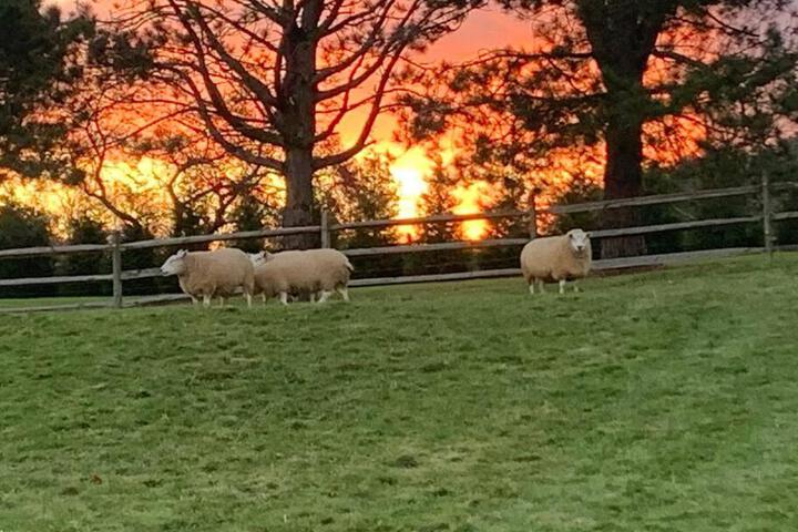 Dunover Farm. One bedroom apartment.