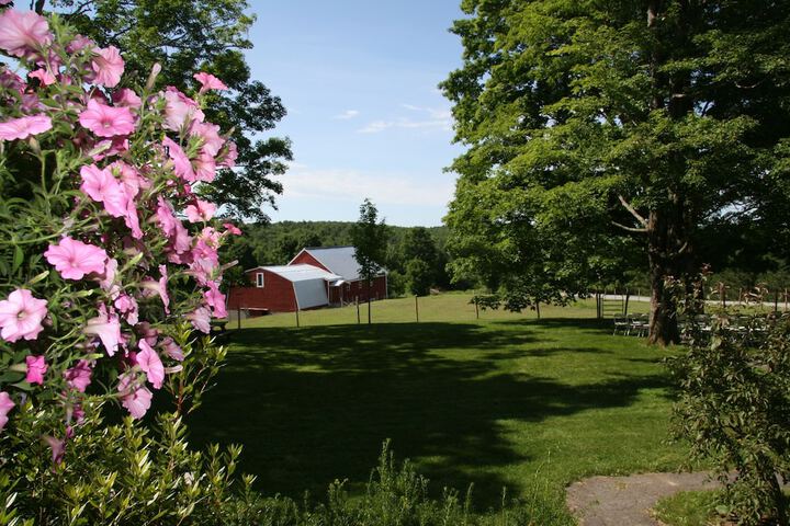 Property Grounds 181 of 191