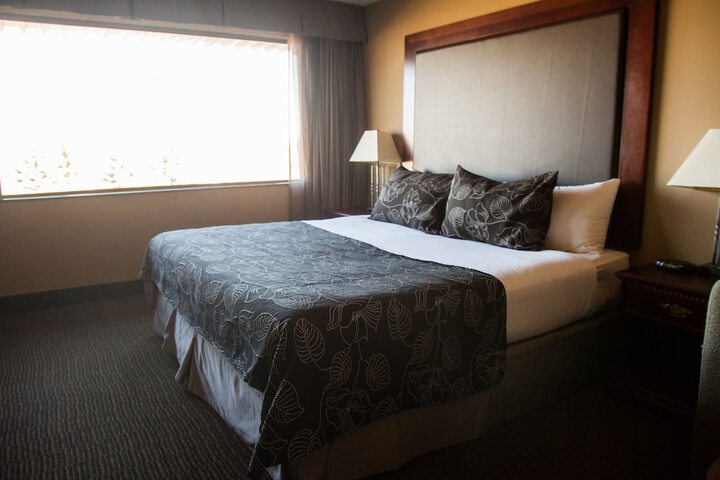 Room 32 of 85