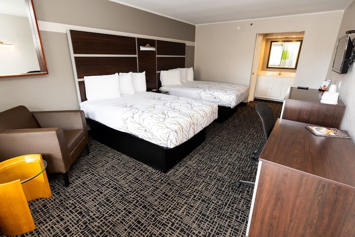 Room 31 of 48