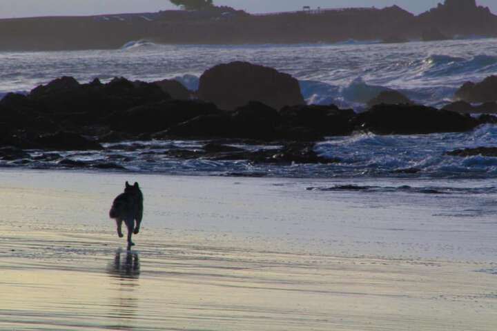 Beach 42 of 47