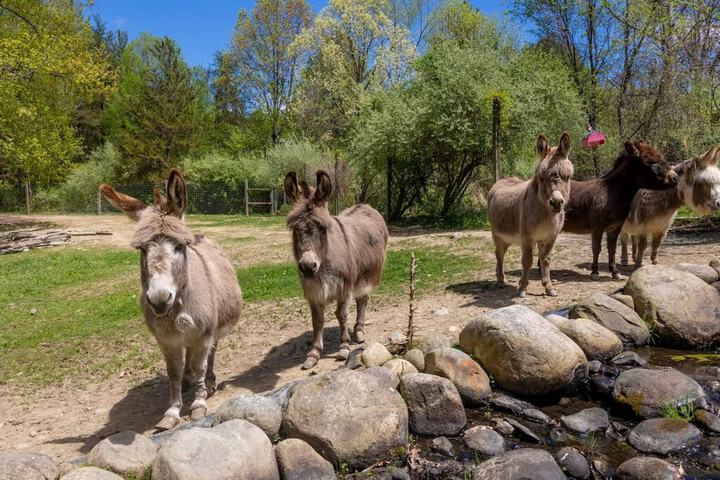 Modern Farm Home 2hr NYC BOS Peaceful Wifi