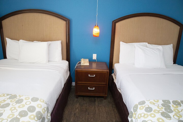 Room 50 of 85