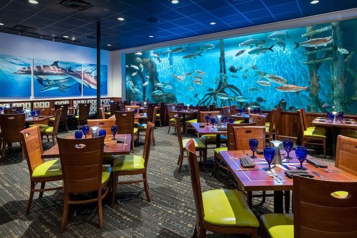 RumFish Beach at TradeWinds
