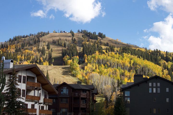 Goldener Hirsch Auberge Collection