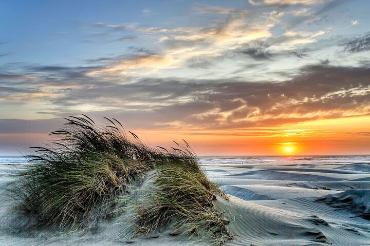 Beach 51 of 61