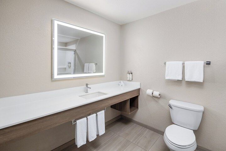 Holiday Inn Express & Suites Green Bay East by IHG