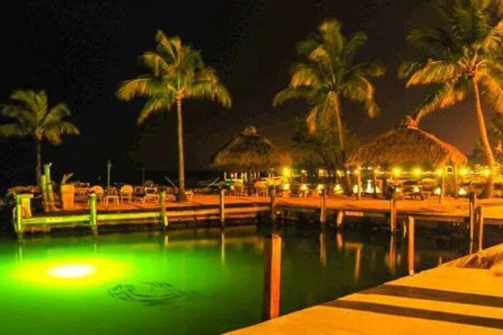 LOOKOUT LODGE RESORT