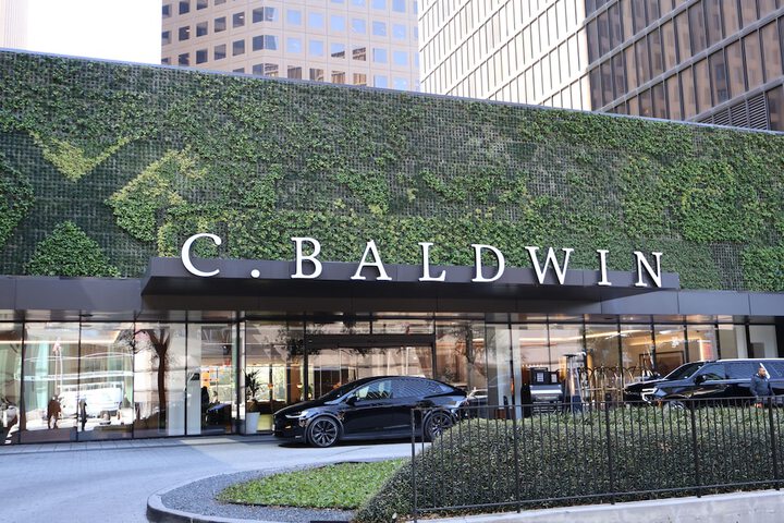 C. Baldwin Curio Collection by Hilton