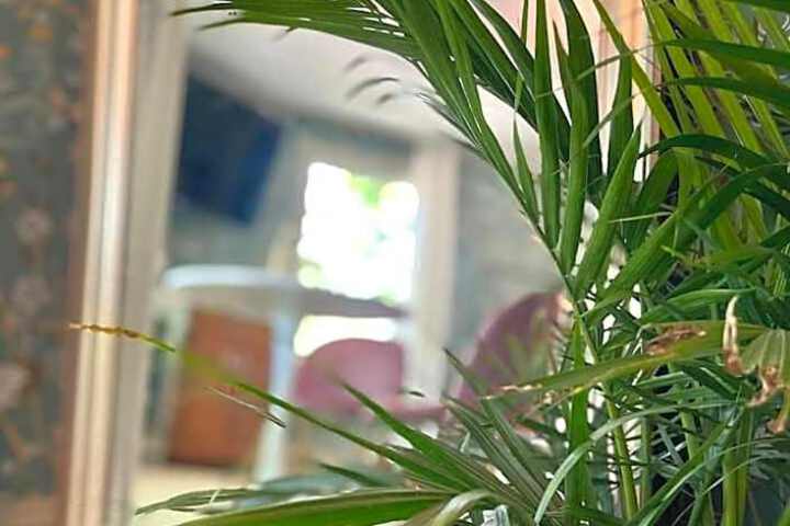 Buttonwood Boutique Hotel