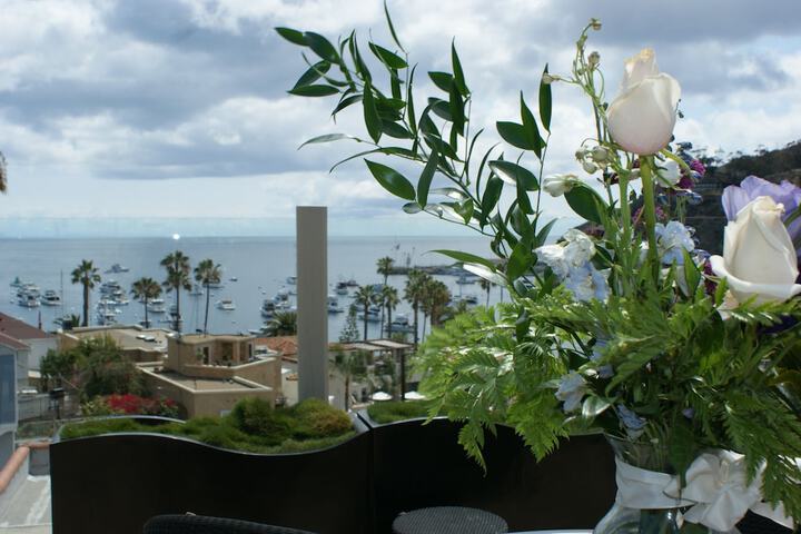 Sundeck 43 of 46