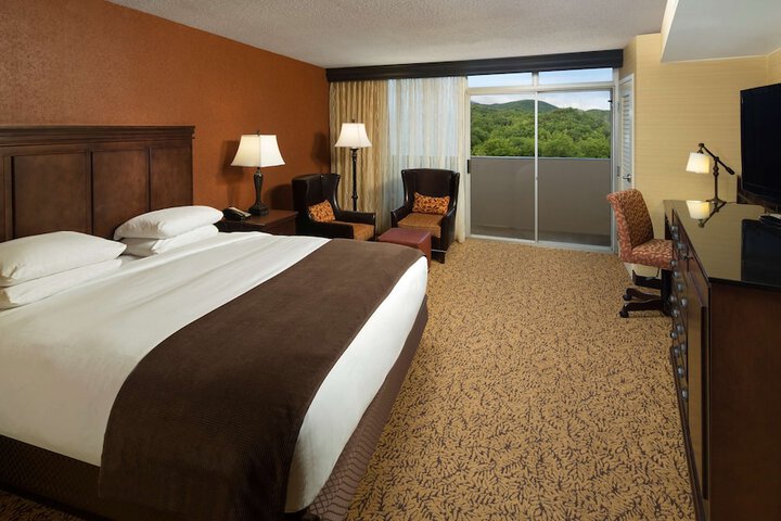The Park Vista - a DoubleTree by Hilton Hotel - Gatlinburg