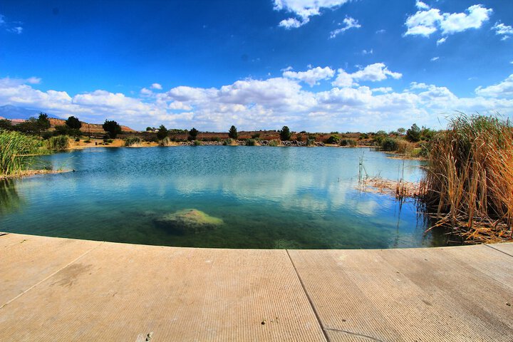 Property Grounds 22 of 24