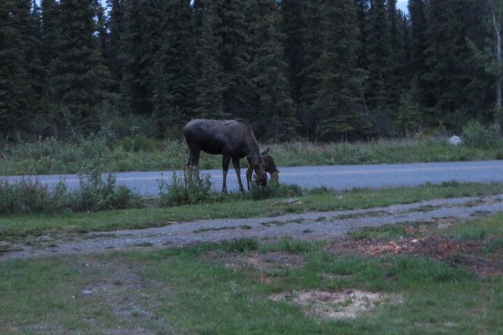 Denali Tri-Valley Cabins