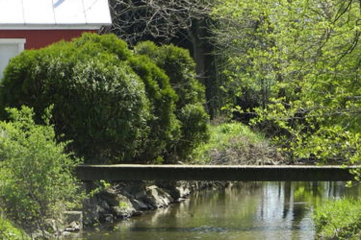 Property Grounds 19 of 29