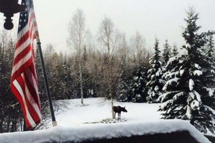 Fairbanks Moose Manor B & B