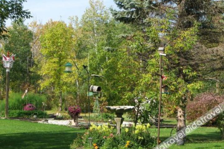 Chickadee Lane Bed & Breakfast