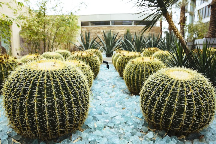 W Scottsdale