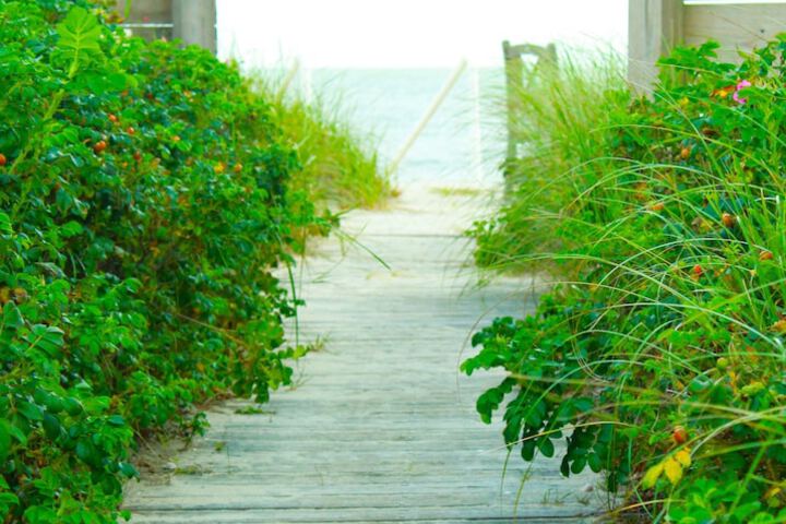 Beach 189 of 230