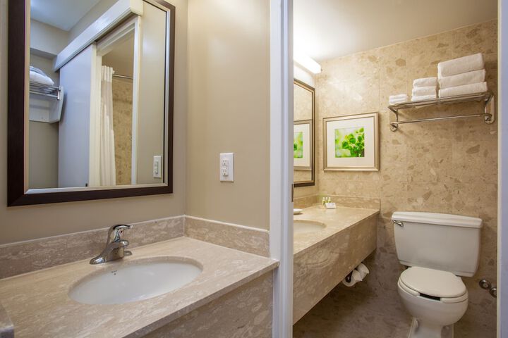 Holiday Inn Toronto - Intl Airport by IHG