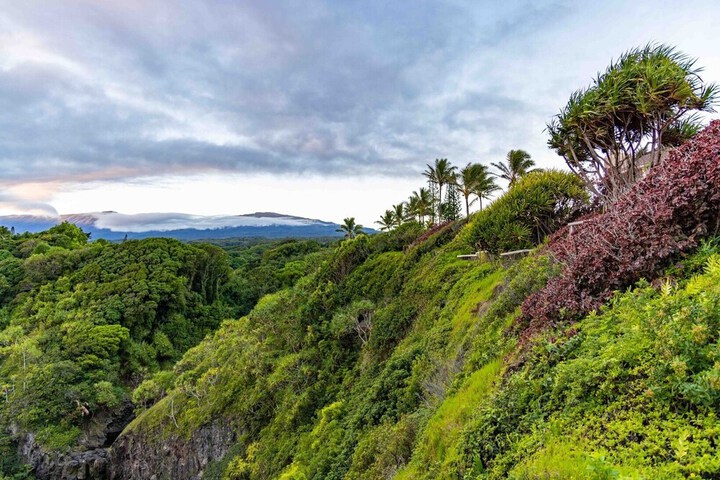 Hale Akua Garden Farm & Eco-Retreat