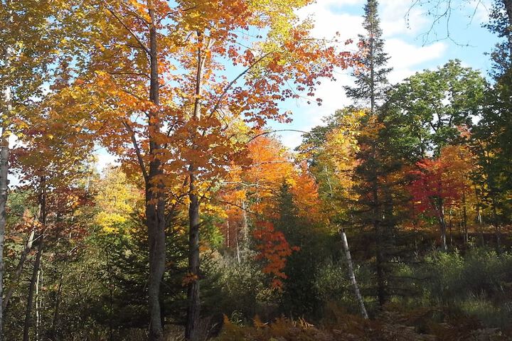 Chicaugon Lake Inn