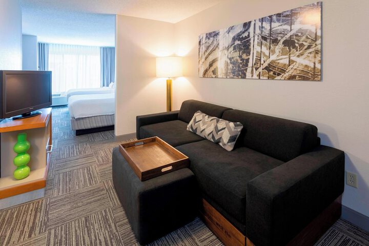 SpringHill Suites by Marriott Rochester-Mayo Clinic / St. Marys