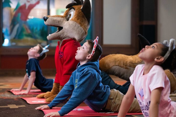 Great Wolf Lodge Concord