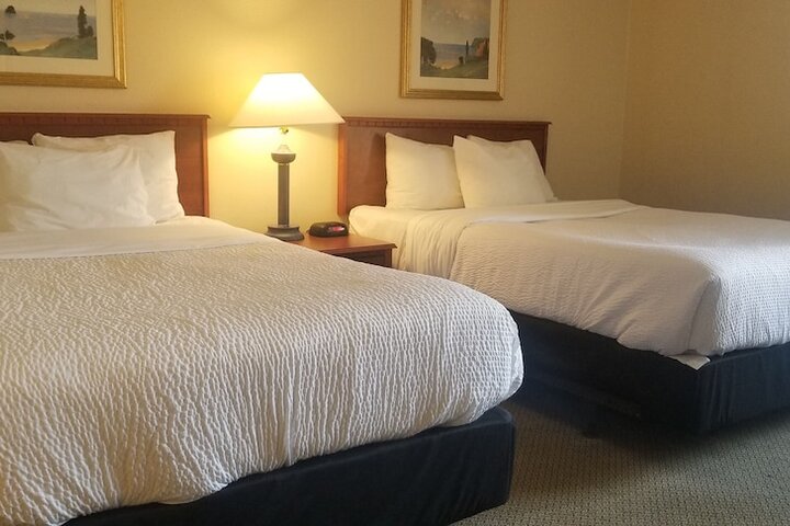 Room 33 of 50