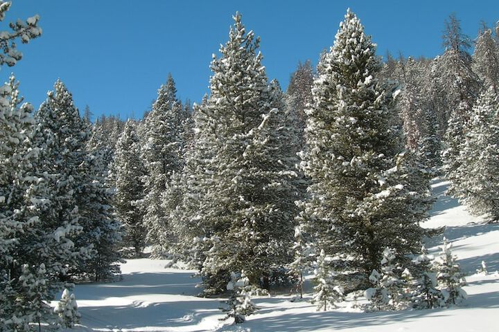 Homestake Lodge