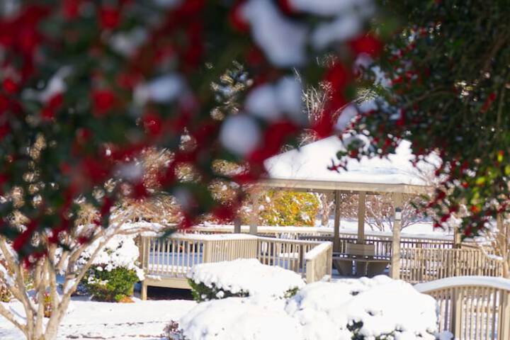 Tremont Lodge & Resort