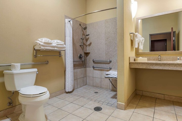 Comfort Suites Airport South