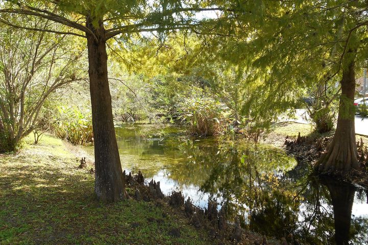 Property Grounds 49 of 49