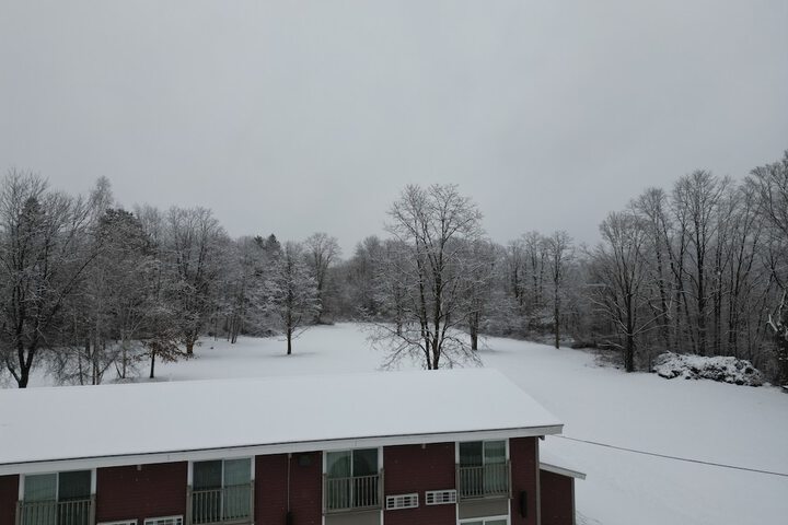Property Grounds 36 of 42