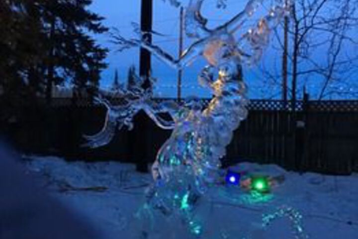 Fairbanks Moose Manor B & B