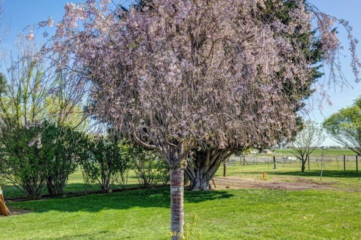 3BR Retreat in Prosser Perfect for Wine Lovers