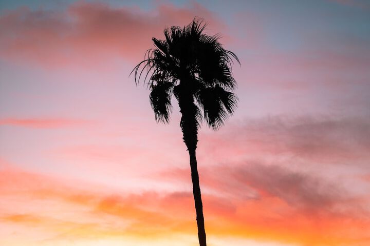Del Mar Beach Hotel