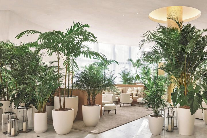 Hotel Interior 14 of 42