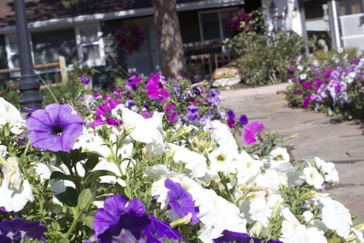 Black Elk Resort Cottages and RV Park
