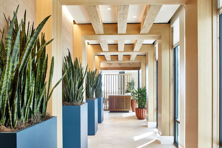 Springhill Suites by Marriott Jacksonville Beach Oceanfront