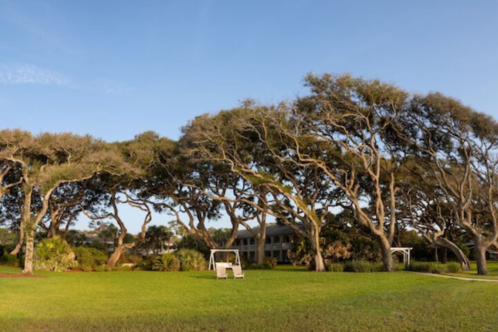 The Beachview Club