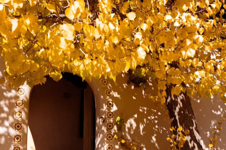 Sagebrush Inn & Suites