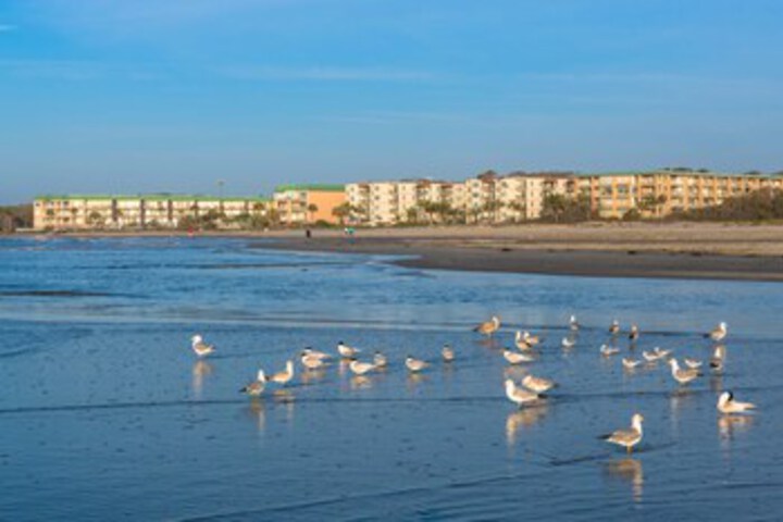 1 East Beach Causeway by Hodnett Cooper