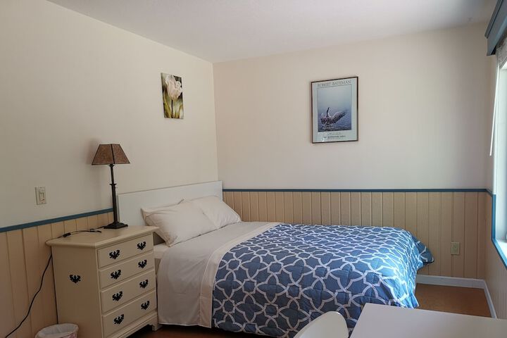 The 2 Forest Rooms--great For Family--and Views