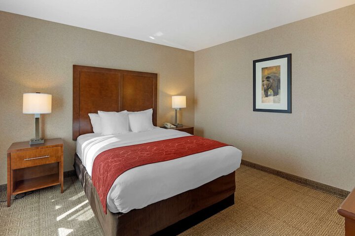 Room 12 of 41
