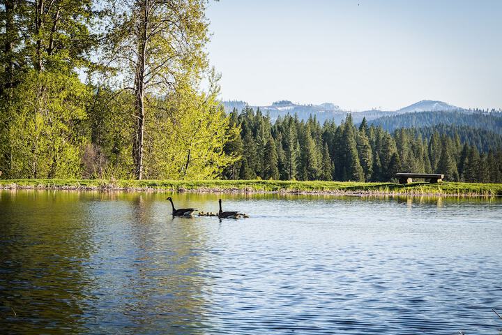 Greenhorn Ranch