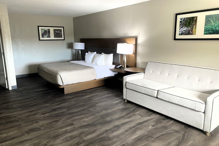 Room 26 of 83