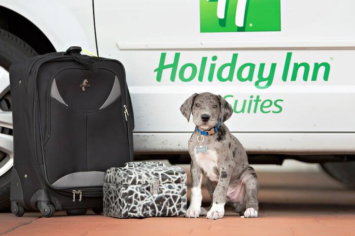 Holiday Inn Bloomington-Airport by IHG
