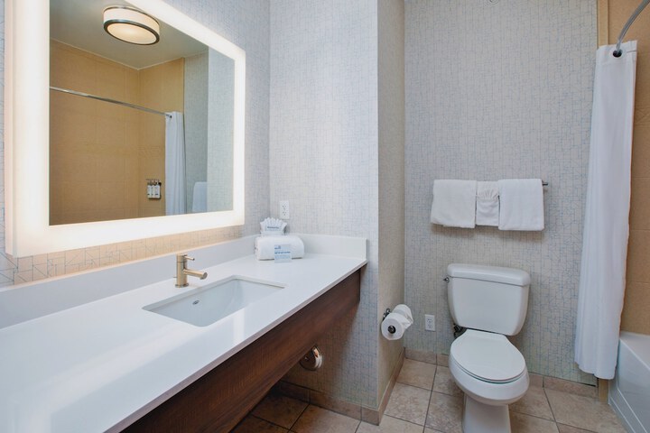 Holiday Inn Express Hotel & Suites Auburn Hills by IHG